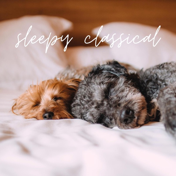 sleepy classical by Ólafur Arnalds