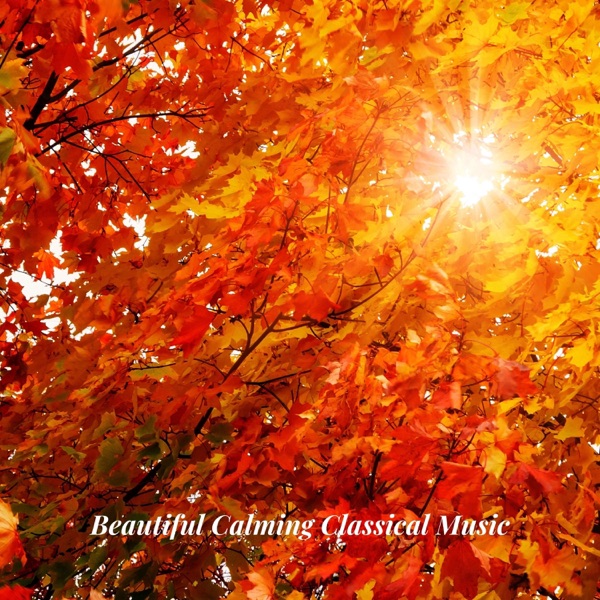 Beautiful Calming Classical Music by Ólafur Arnalds