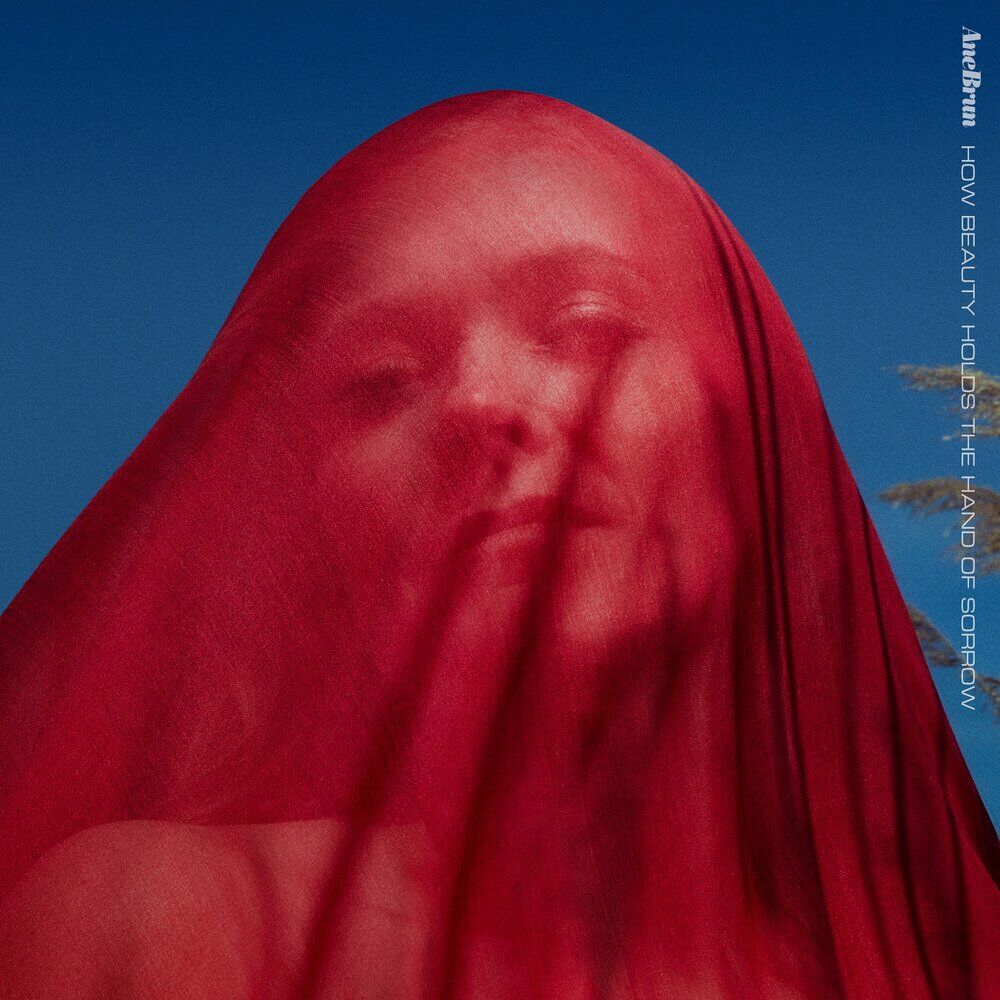 How Beauty Holds the Hand of Sorrow by Ane Brun