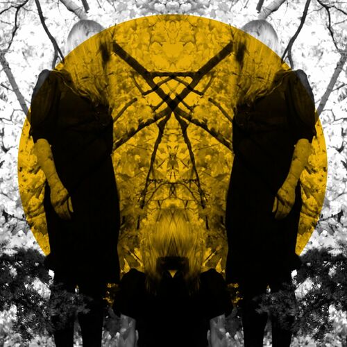 Feel It Break by Austra