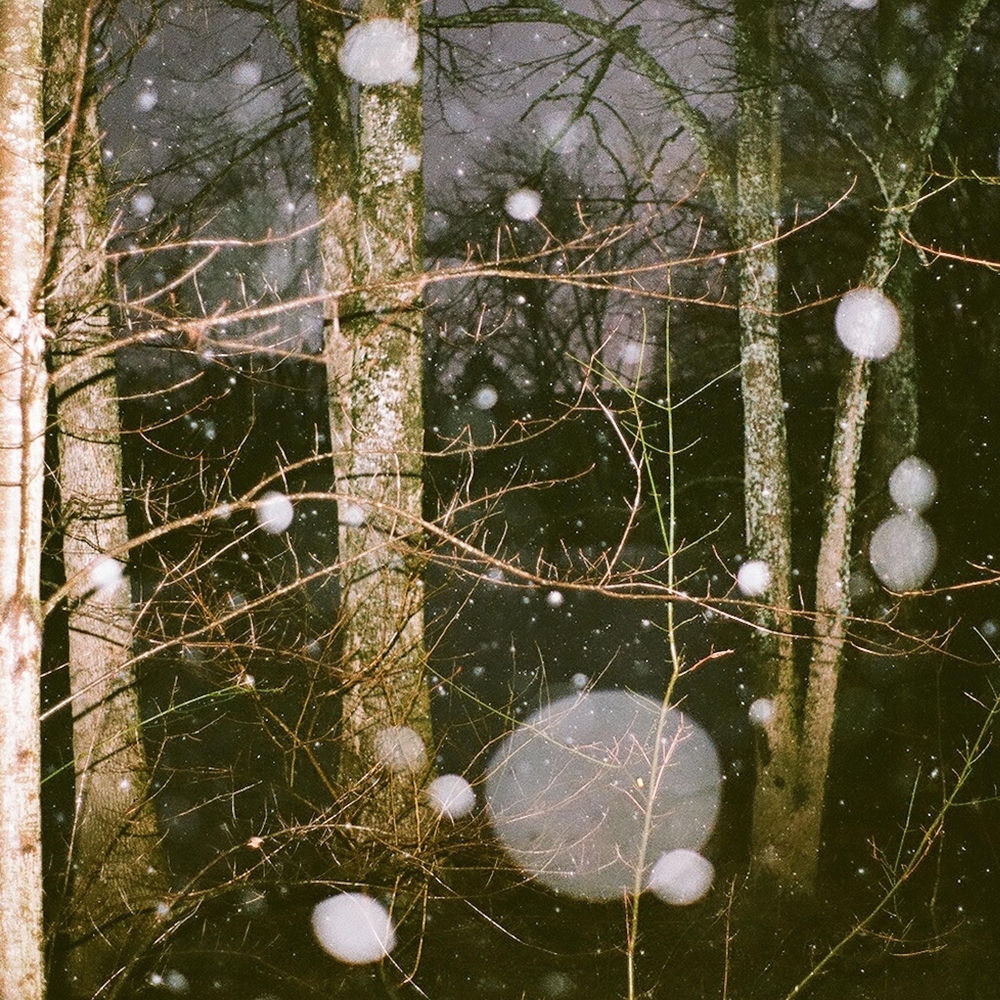 After The Warmth by German Error Message
