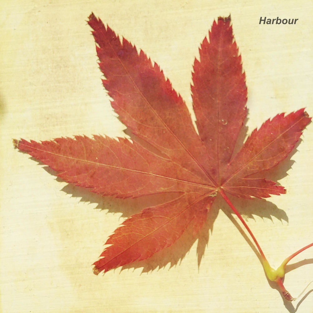 The Urge to Hibernate by HARBOUR