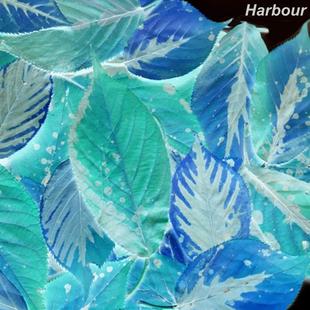The new normal by HARBOUR