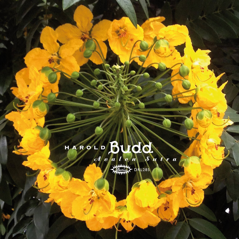 Avalon Sutra by Harold Budd