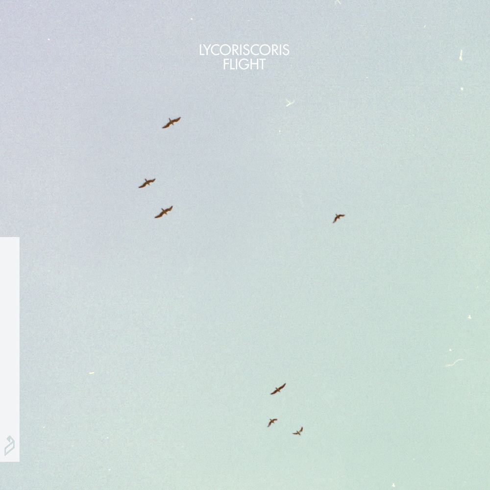 Flight by Lycoriscoris
