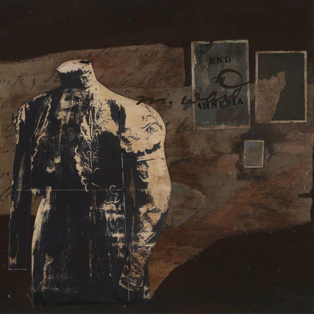 End of Amnesia by M. Ward
