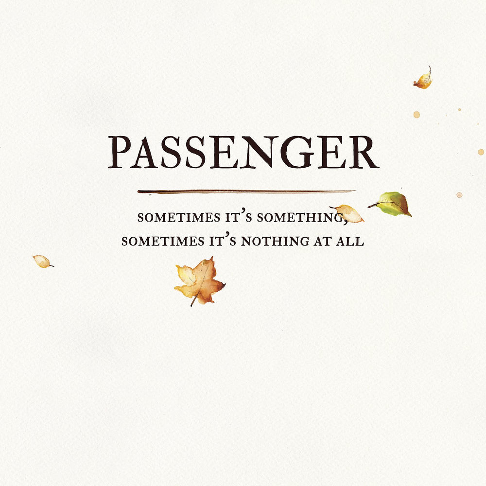 Sometimes It's Something, Sometimes It's Nothing at All by Passenger