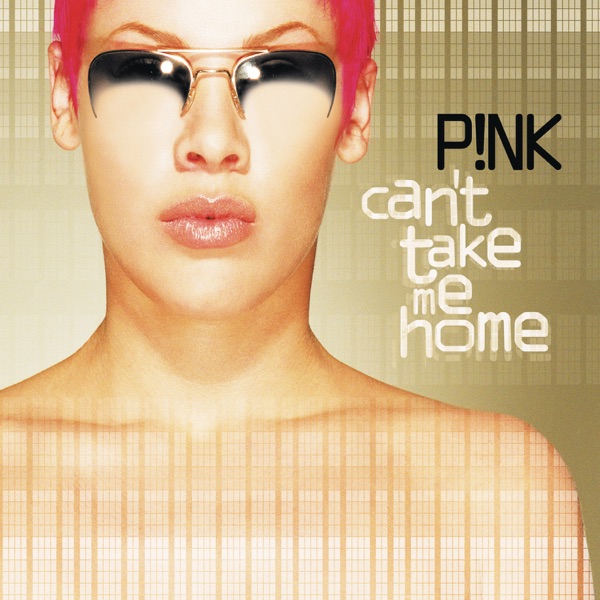 Can't Take Me Home by P!nk