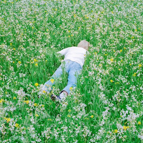 Nurture by Porter Robinson