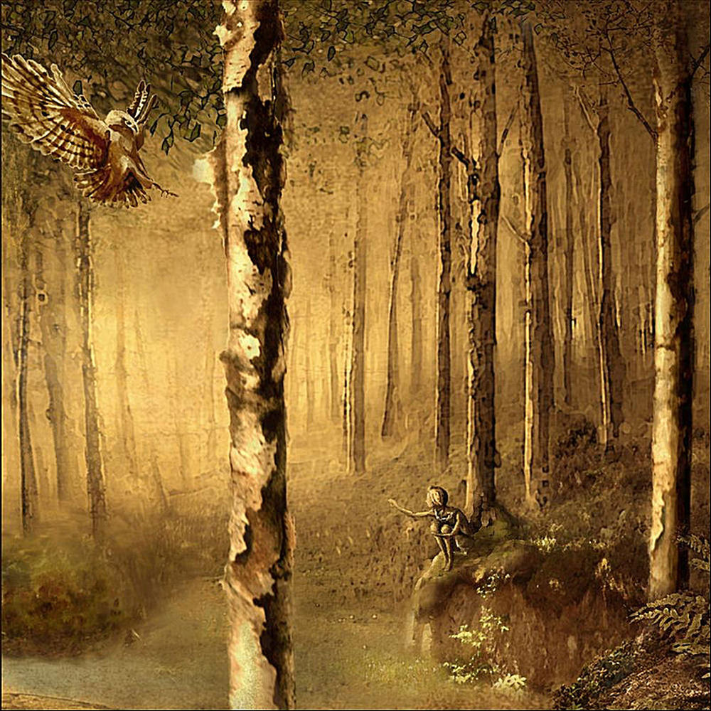 A Stone, a Leaf, an Unfound Door by River Whyless