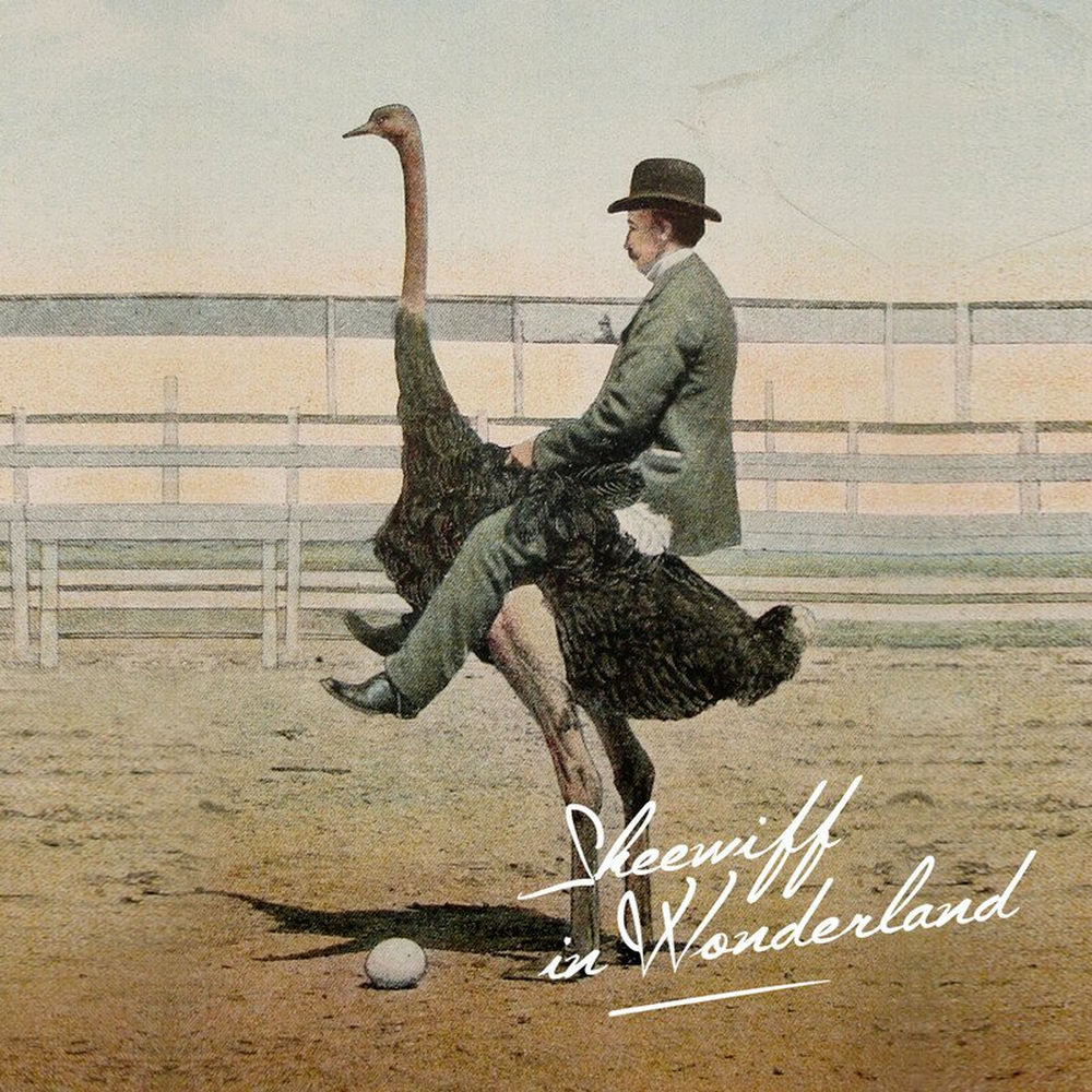 Skeewiff In Wonderland by Skeewiff