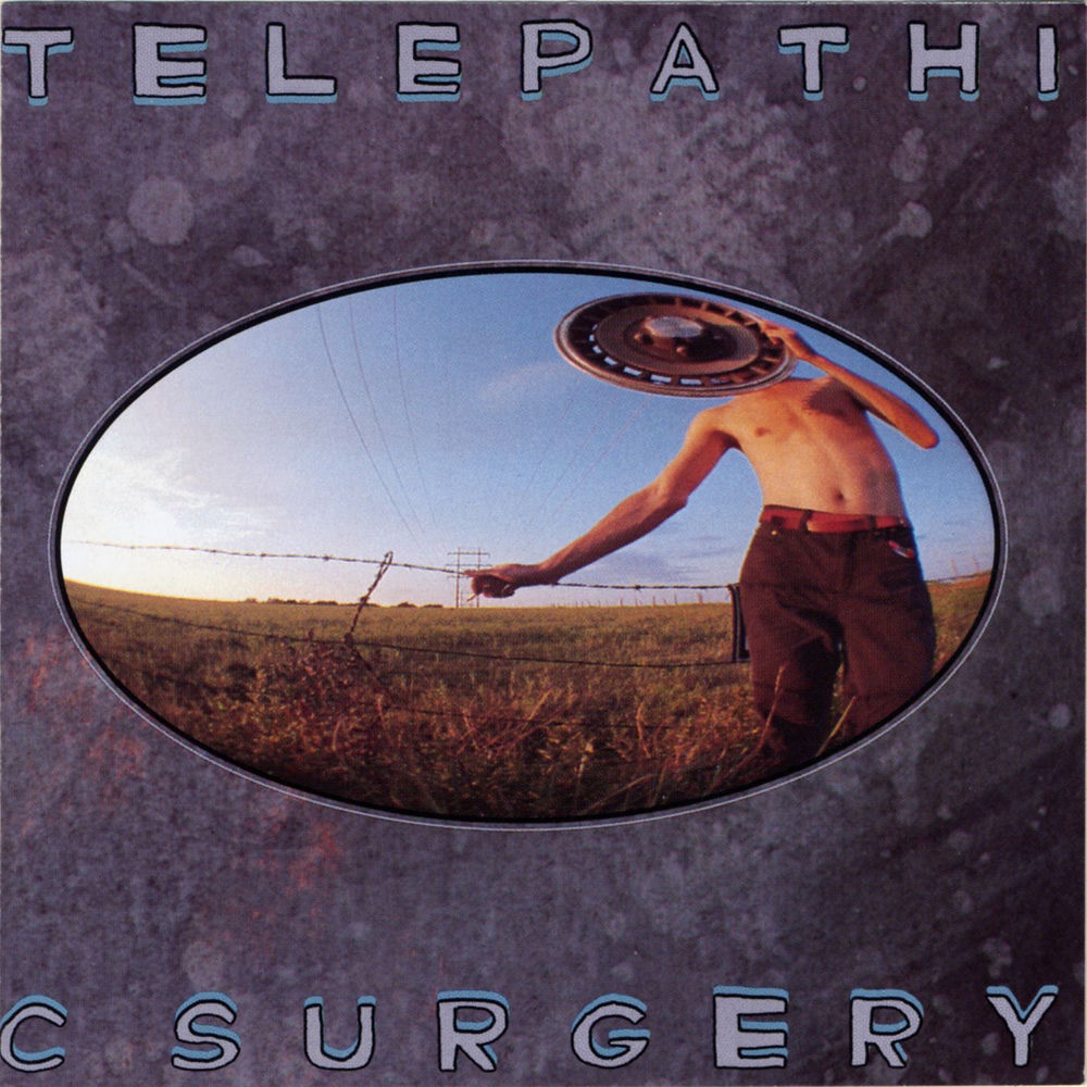Telepathic Surgery by The Flaming Lips