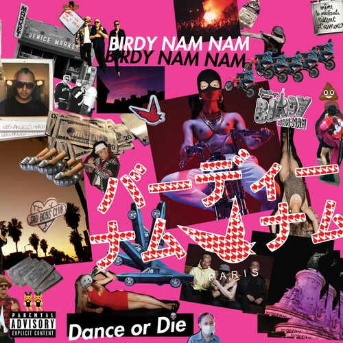 Dance or Die by Birdy Nam Nam