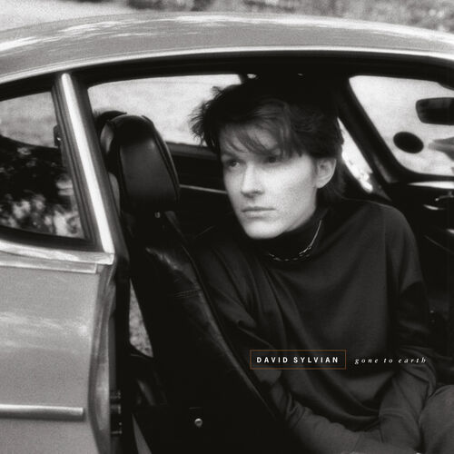 Gone to Earth by David Sylvian