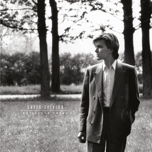 Brilliant Trees by David Sylvian