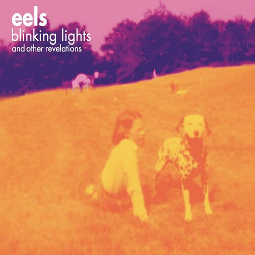 Blinking Lights and Other Revelations by Eels