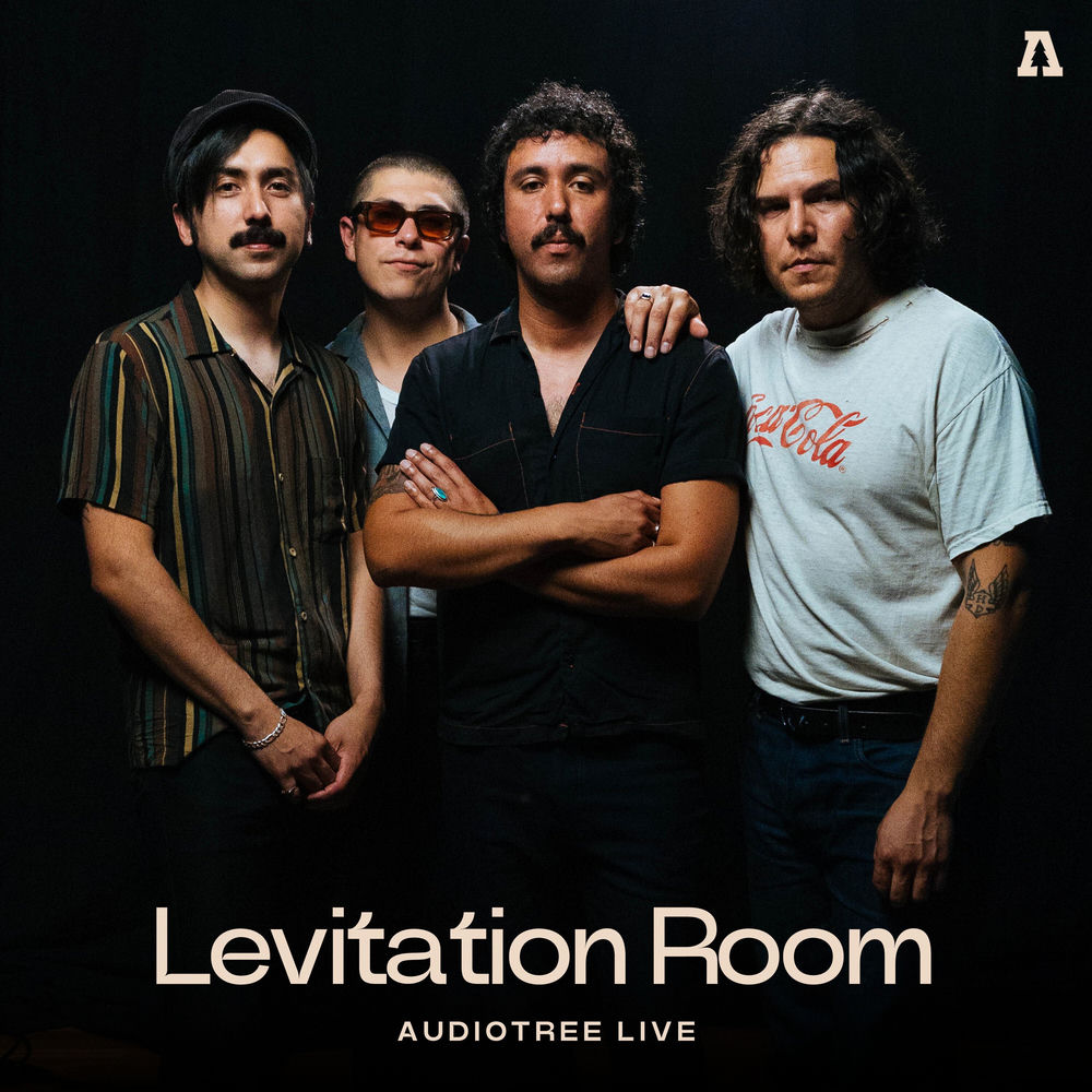 Levitation Room on Audiotree Live by levitation room