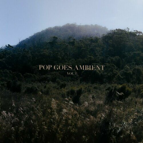 Volume 1 by Pop Goes Ambient