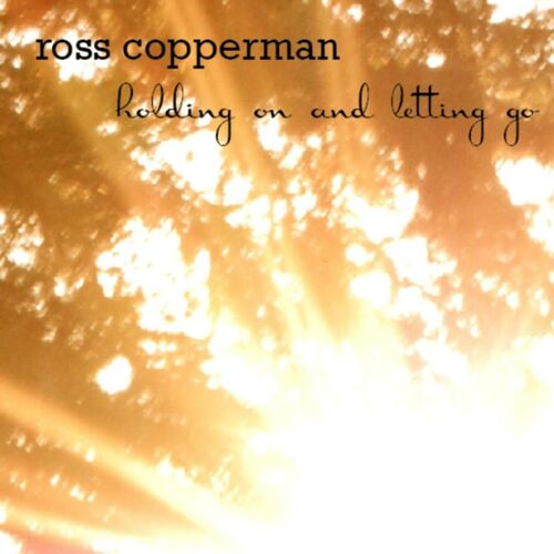 Holding On and Letting Go LP by Ross Copperman