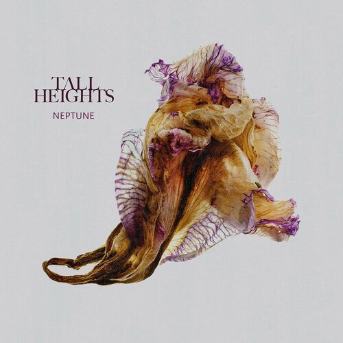 Neptune by Tall Heights